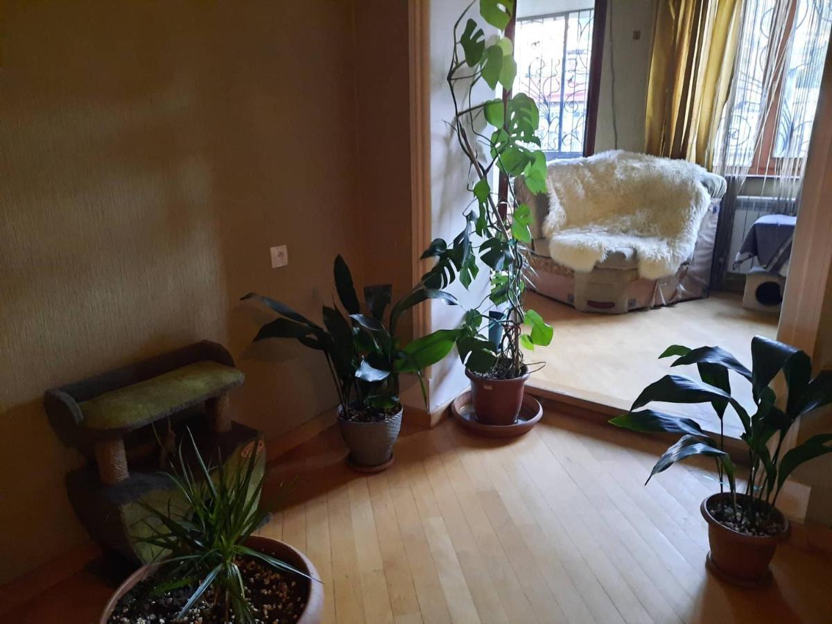 Tbilisi Philharmonia Apartment エクステリア 写真